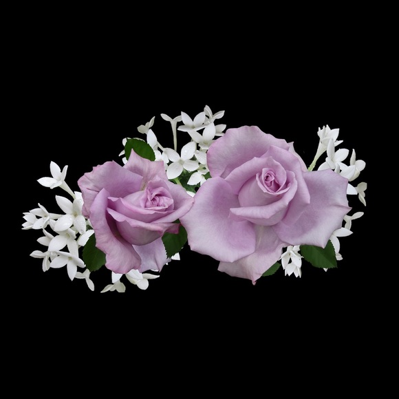 Meet your Posher, Jocelyn - Picture 2 of 3